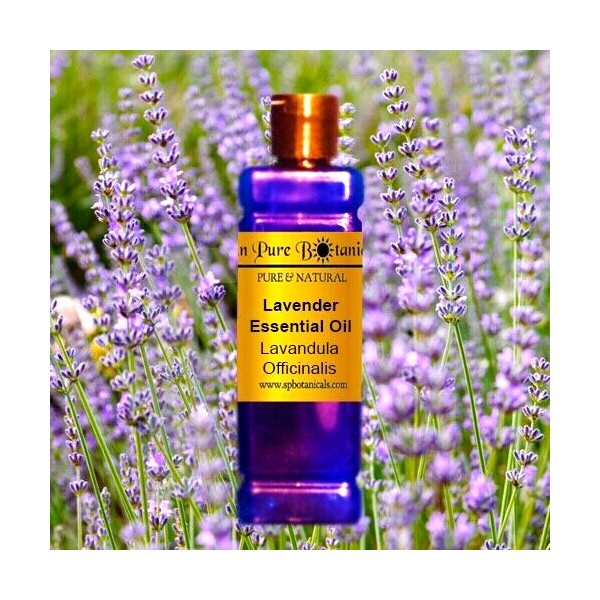 8 oz Lavender Essential Oil - 100% PURE NATURAL - Aromatherapy - Dispenser Lids!