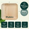 Chic Leaf Palm Leaf Plates Like Bamboo Plates Disposable 6