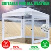 Acepic Clear Canopy Sidewalls for 10x10 Pop Up Tent, Transparent