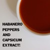 SPONTANEOUS COMBUSTION Garlic and Original Hot Sauce with Habanero -