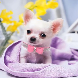 Rhinestone Dog Collar, Xs Dog Collar Girl, Diamond Jewel Glitter Sparkly Bedazzled Puppy Collar with Bow Adjustable for XXS,XS,Small Medium Large Breed Female Pets Cat and Dogs, Pink X Small