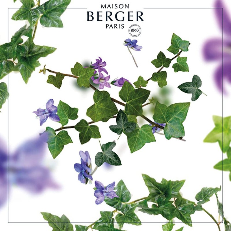 LAMPE BERGER Paris I Duft Katalyse Lampe 1 L -