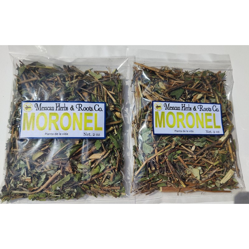 Mexican herbs Moronel Planta de La Vida Te de moronel