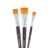 Transon Flat Paint Brush Set 3pcs for Acrylic Watercolor Gouache
