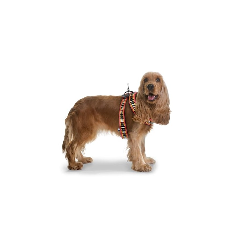 Fancy Pets Arnés Berrydog Color Rojo Tamaño Mediano para Perro