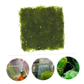 GANAZONO Aquarium Landscape Decoration Fire Moss Plant Ornament for Freshwater Fish Tanks Durable Aquatic Accessory for Fish Tank Landscape Enhances Pet Play and Hiding Spots