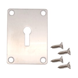Repair Escutcheon Key Hole Cover Plate Screw Fix Satin Stainless Steel 65 x 47mm