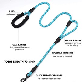 DDSCOLOUR Heavy Duty Dog Leash 5-6ft Long with Comfortable Padded Handle Training Lead Reflective Mountain Climbing Rope Dog leashes Walking Training Leash for Medium Large Blue