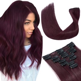 TESSHAIR 10 Inch Clip In Hair Extensions Real Human Hair, Double Weft 100% Remy Human Hair Clip on Extensions for Women, 8 Pcs 18 Clips Per Set (#99J Wine Red)