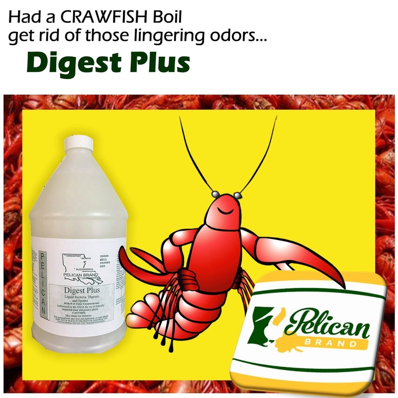 Digest Plus