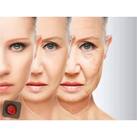 Crema Facial Baba D Caracol Colágeno, Evita Arrugas Tipo De