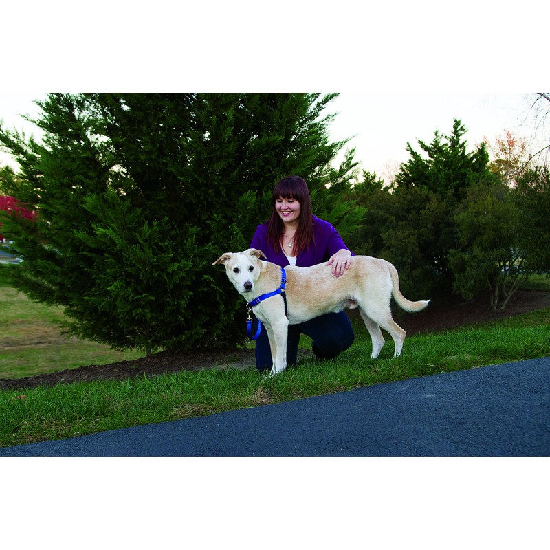PetSafe Easy Walk Dog Harness - No Pull Dog Harness