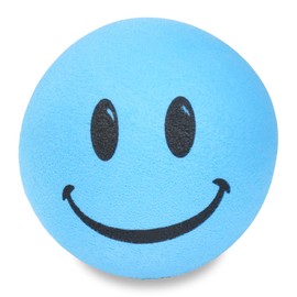 Tenna Tops Smiley Happy Face Car Antenna Ball/Auto Mirror Dangler/Desktop Spring Stand Bobble Buddy (Baby Blue) (Car Accessory)