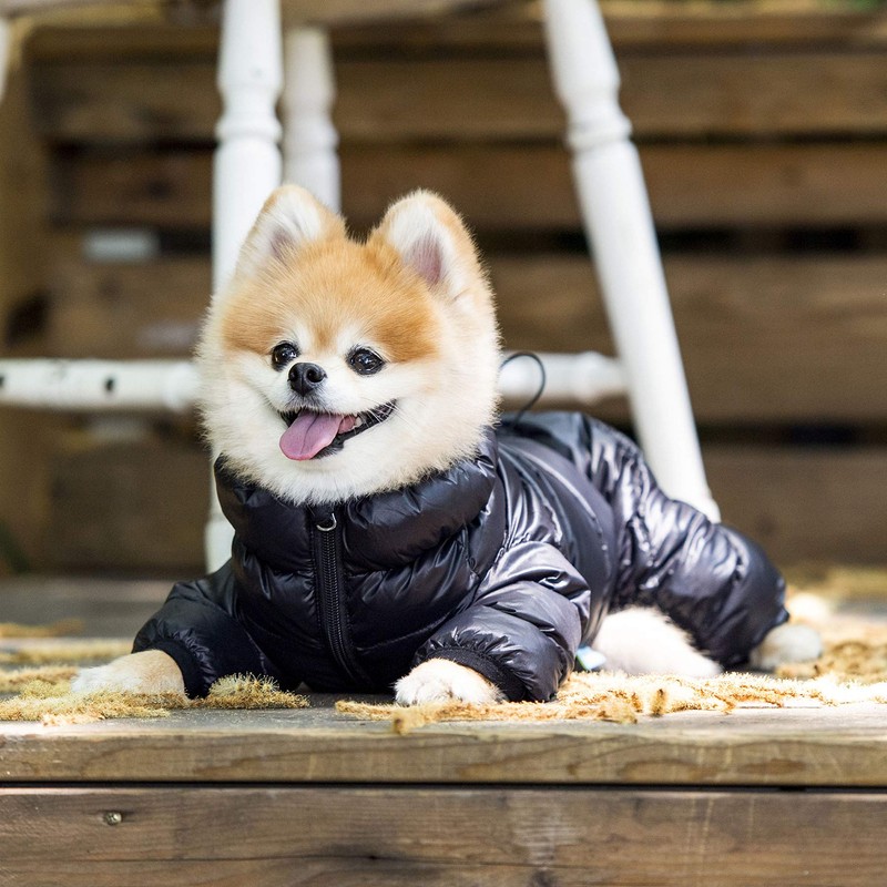 Puppia Winter Ultralight Dog Jumpsuit B Waterproof Warmth for Cold