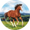 Trendware Wild Horse Paper Plates, 24 Count