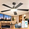 Amico 52 Inch Smart Ceiling Fans with Lights, Downrod Mount,
