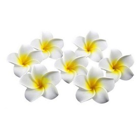 Pack of 12 Women Girls 2.4 Inches / 6 cm Hawaii Frangipani Foam Flower Hair Clips for Wedding Party Beach Decoration Hair Clip Hawaiian Hair Clip (Yellow)