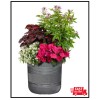 CHG CLASSIC HOME & GARDEN Richmond 15 In. X 15