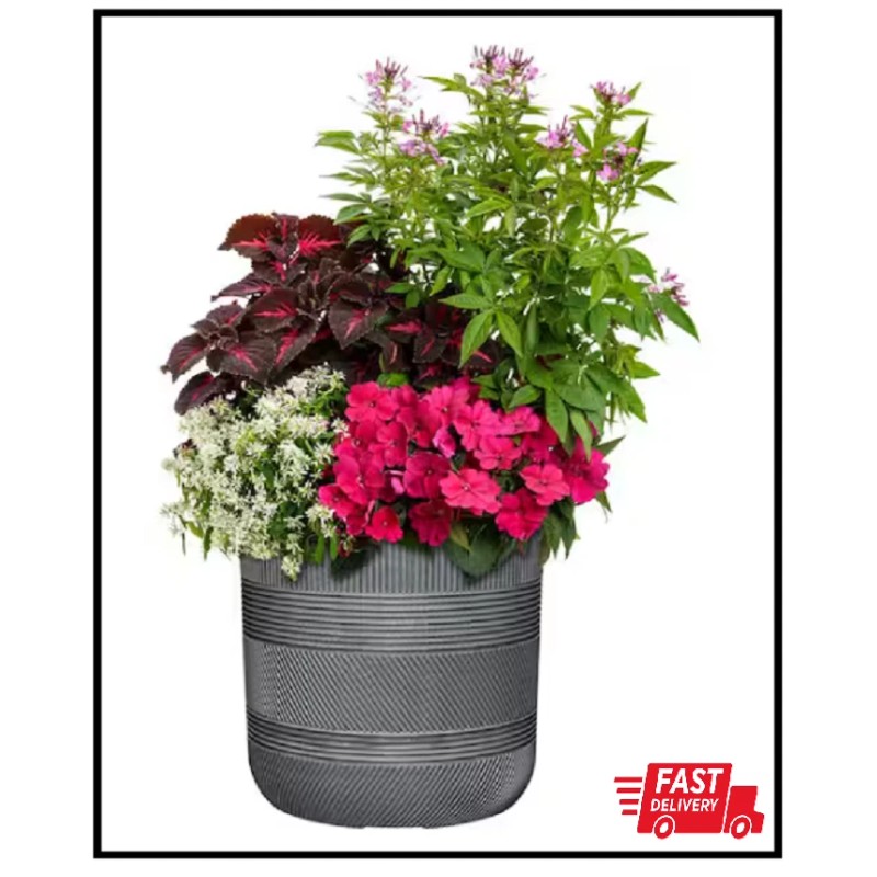 CHG CLASSIC HOME & GARDEN Richmond 15 In. X 15