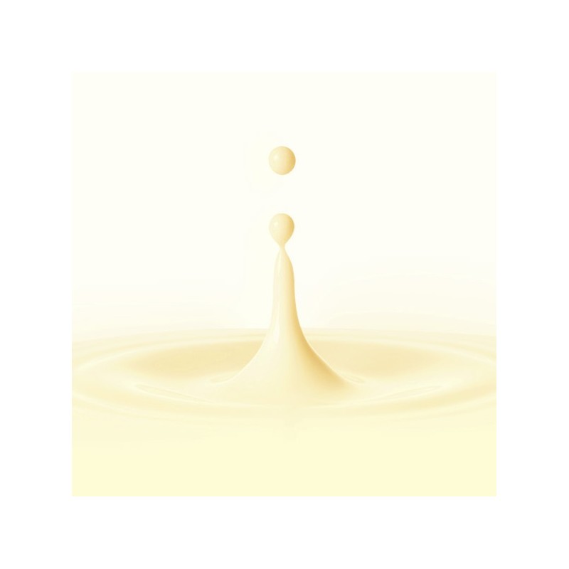 토리든 솔리드인 세라마이드 올데이 에센스, 100ml, 1개 Toriden Solidin Ceramide