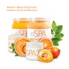BCL SPA Dead Sea Salt Soak, Mandarin + Mango, 16