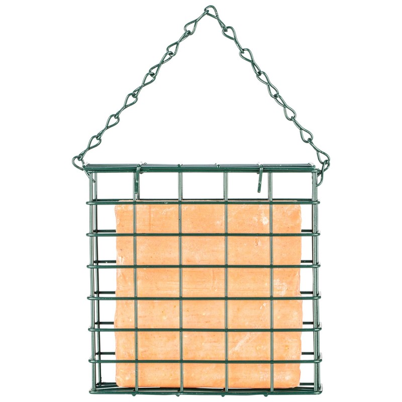 Premium High Energy Suet Blocks Berry Flavour Garden Bird Feed