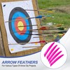 PATIKIL Arrows Vanes, 50 Pack 11 Inch Turkey Feather Arrow