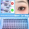 Manga Lash Clusters Fairy Cat Eye Lash Clusters Fox Eye