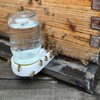 AukBeeFun 6 Pack Bee Feeders for Hives Mason Jar Sugar