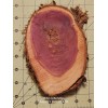 ~5" x 7" Diameter Oval Aromatic Red Cedar ¾" Thick
