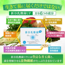 ウェルベスト 25種類の善玉菌が一度に摂れる 新谷乳酸菌UP (60包（60日分）)