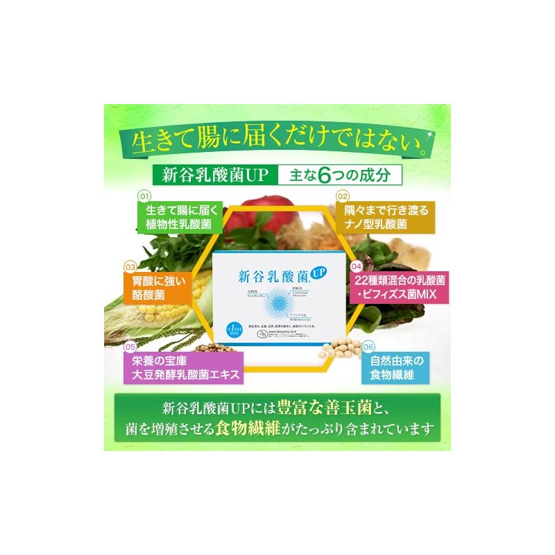ウェルベスト 25種類の善玉菌が一度に摂れる 新谷乳酸菌UP (60包（60日分）)
