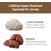 Om Organic Mushroom Nutrition Brain Fuel Superfood Daily Boost Capsule,