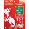 Hashi Waki Pad Liff Mocha Beige, Value Pack, 40 Sheets