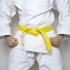 PATIKIL Taekwondo Colour Ranking Belt 1.5 Inches x 5.2 Ft