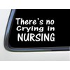 ThatLilCabin - There is NO Crying in Nursing AS797 6"