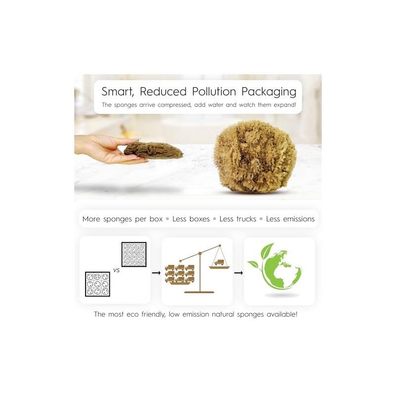 Naroa Esponja de mar natural para baño, esponja exfoliante corporal