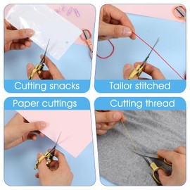 Nogeqi 2PCS Stainless Steel Foldable Scissors, Portable Pocket Keychain Badge Scissors for Nurses Mini, Retractable Mini Travel Scissors for Sewing Fishing Crafts Home Office