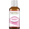 Geranium Bourbon Essential Oil 1 oz / 30 ml 100%