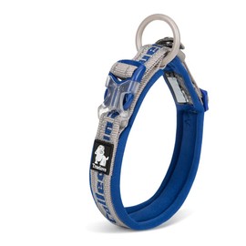 WINHYEPET True Love Reflective Dog Collar, Nylon Webbing, Comfortable and Safe, Adjustable Buckle, Comfortable for Walking Small Dogs, Collar Ring TLC50121 (Grey/Royal Blue, L)