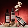 Nuggela & Sulé Professional Shampoo for Oily Hair With Red