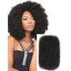 Style Icon 1 Bundle Afro Kinkys Bulk Human Hair 12