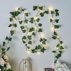 Fairy Lights with Vines, 33FT 100LED String Lights with 33FT