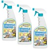 Grandma's Secret Wrinkle Remover Spray - Easily Removes Wrinkles &