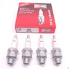 Champion Spark Plug H10C (4)