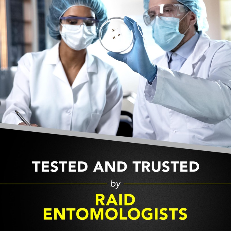 Raid Wasp & Hornet Killer Spray (14 Ounce (Pack of