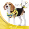 Jolifield Step in Dog Harness with Leash Set, Adjustable Soft