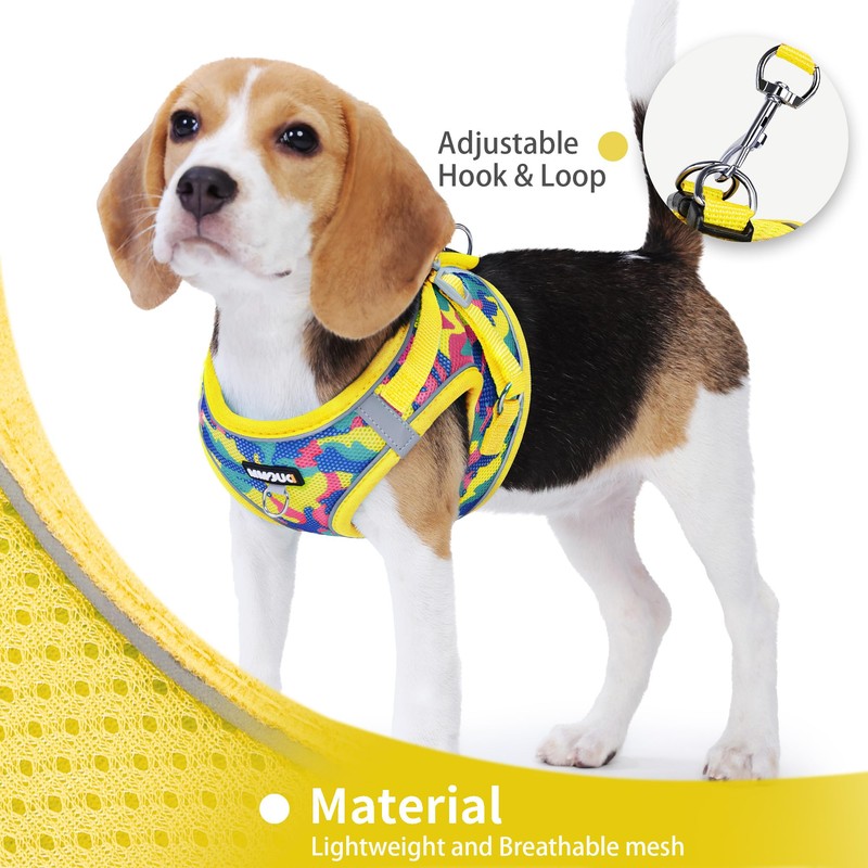 Jolifield Step in Dog Harness with Leash Set, Adjustable Soft