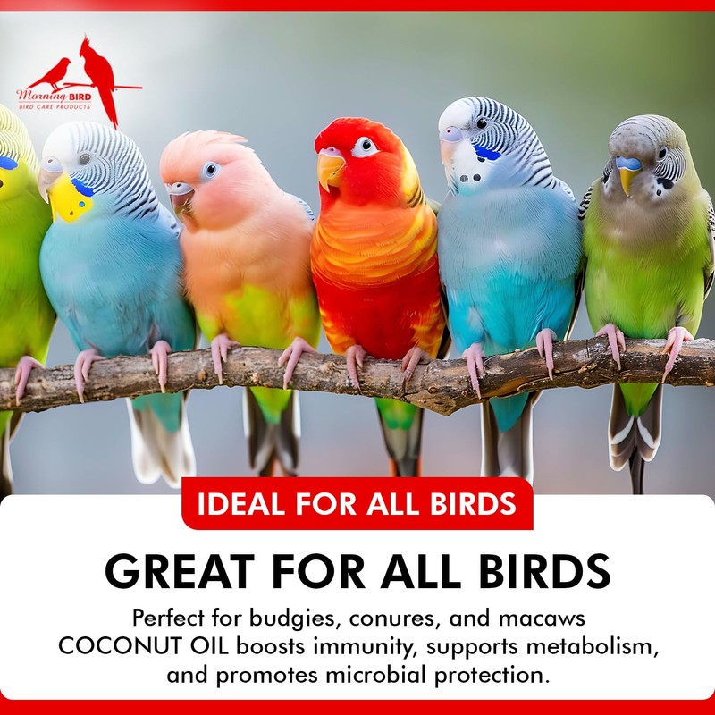 Morning Bird Coconut Oil for Birds 4 oz – Supports