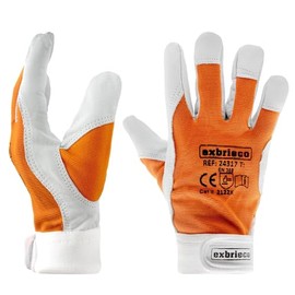 EXBRIECO Premium Leather Work Gloves - Abrasion & Puncture Protection - Ideal for Gardening and DIY (5, XL/10)